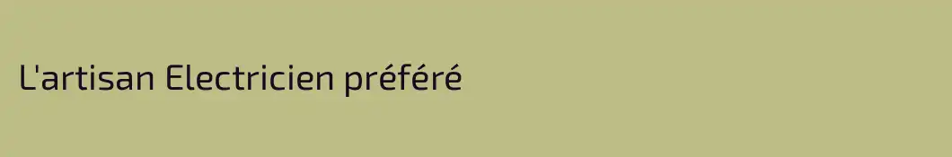 L'artisan Electricien préféré